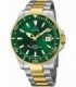 JAGUAR EXECUTIVE. PROFESSIONAL DIVER - J863/B